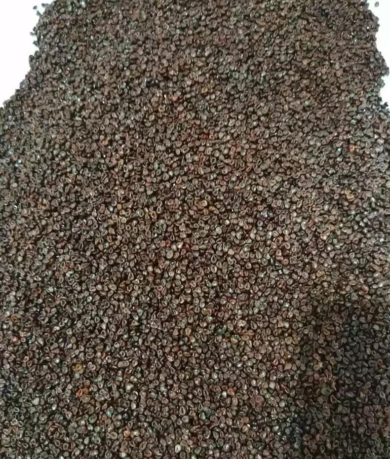 Star Astr*Cactus Variegated Seeds Mix -- 40+