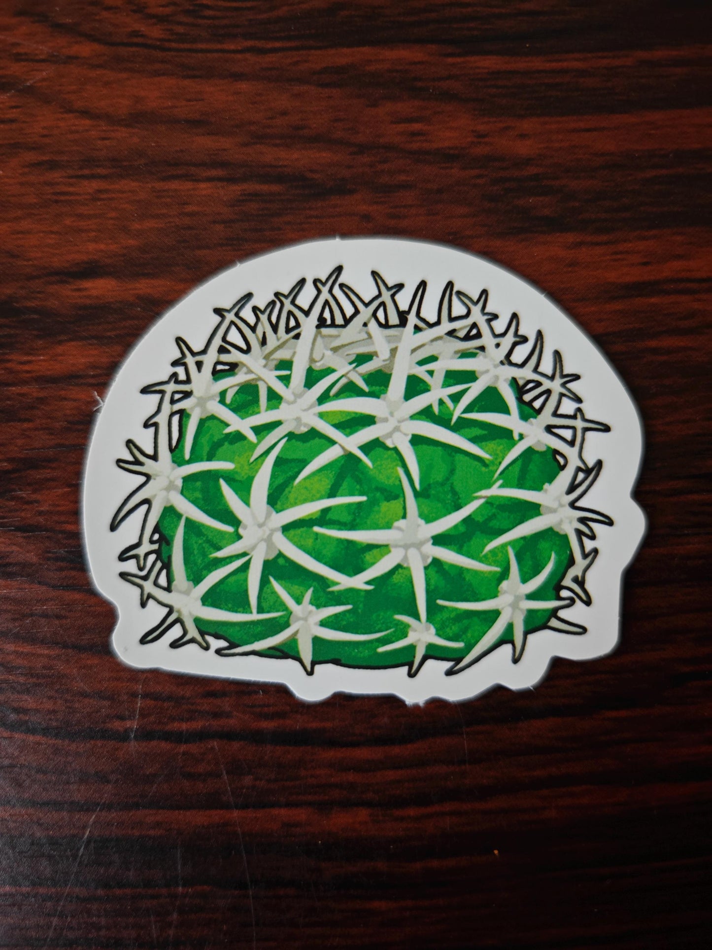 Cactus Succulent Stickers set of 9, size ranges from 3-6 cm.