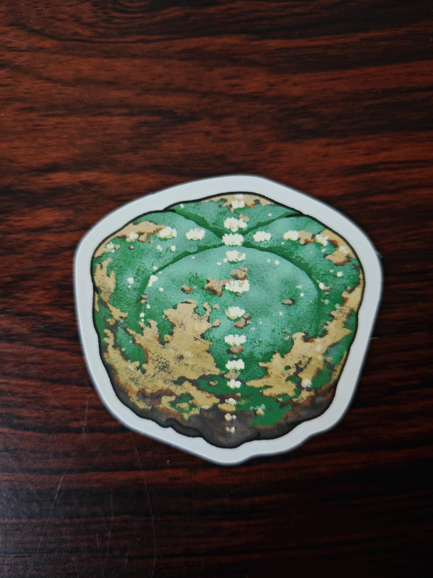 Cactus Succulent Stickers set of 9, size ranges from 3-6 cm.