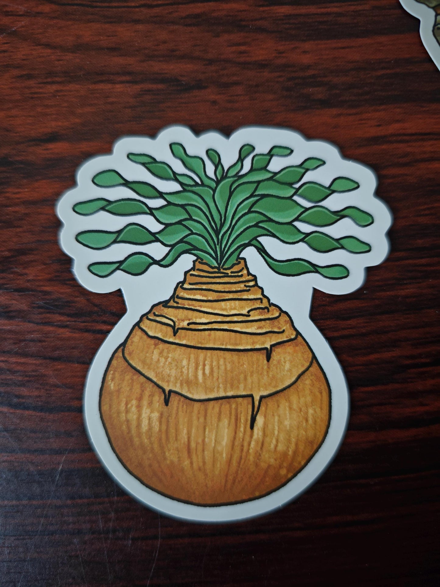 Cactus Succulent Stickers set of 9, size ranges from 3-6 cm.