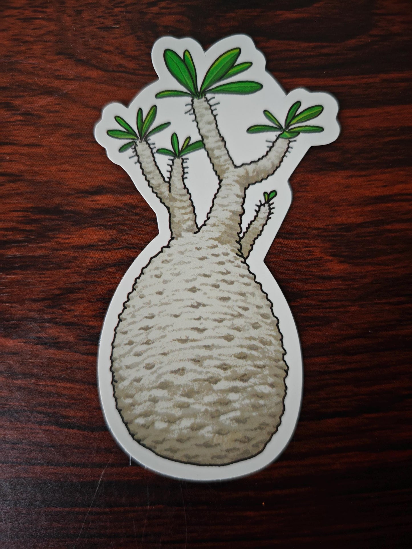 Cactus Succulent Stickers set of 9, size ranges from 3-6 cm.