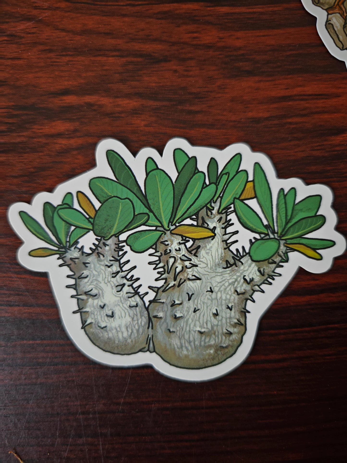 Cactus Succulent Stickers set of 9, size ranges from 3-6 cm.
