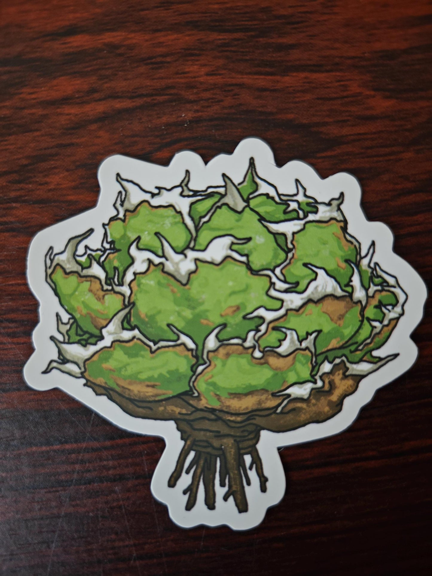 Cactus Succulent Stickers set of 9, size ranges from 3-6 cm.