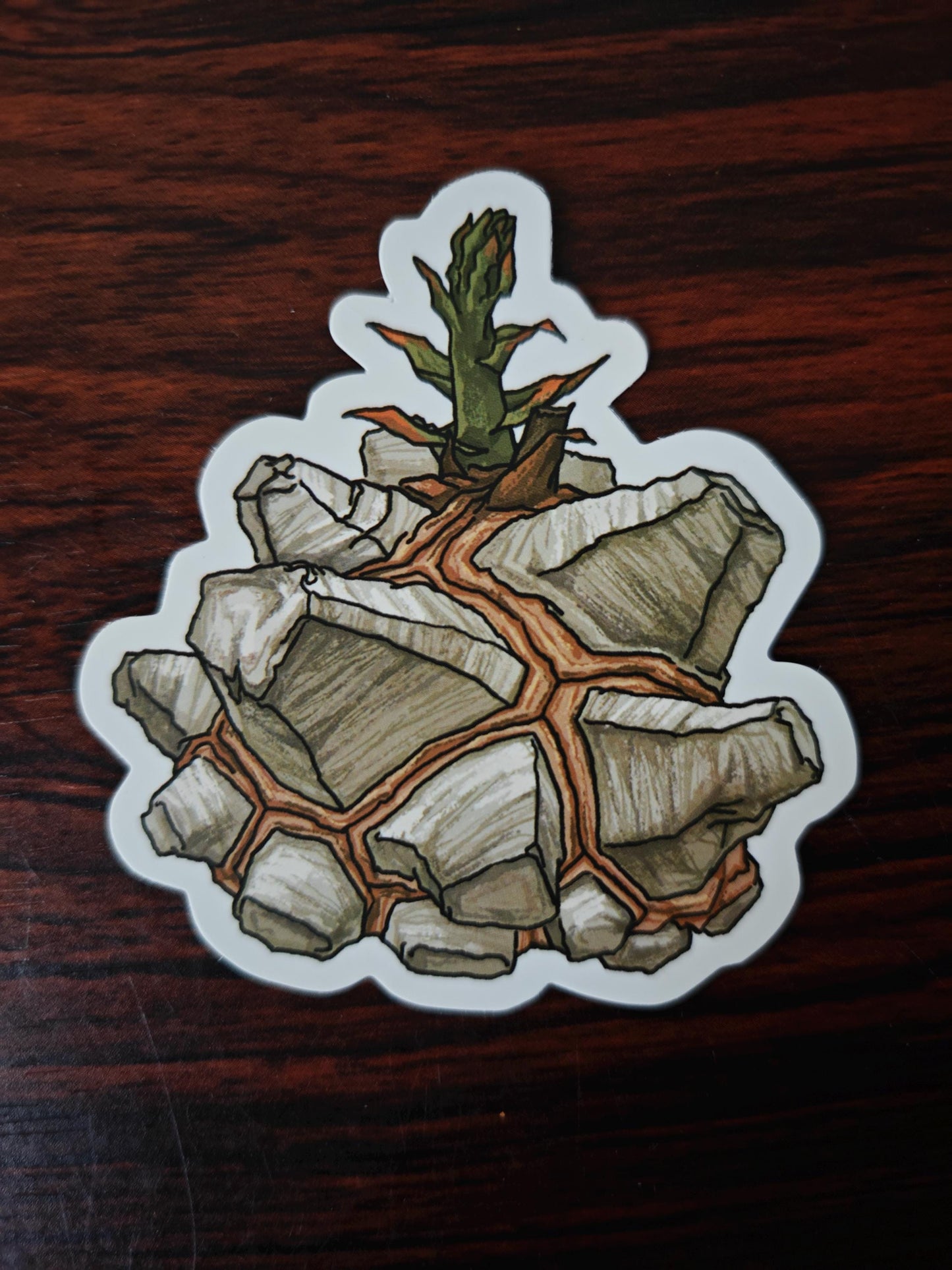 Cactus Succulent Stickers set of 9, size ranges from 3-6 cm.