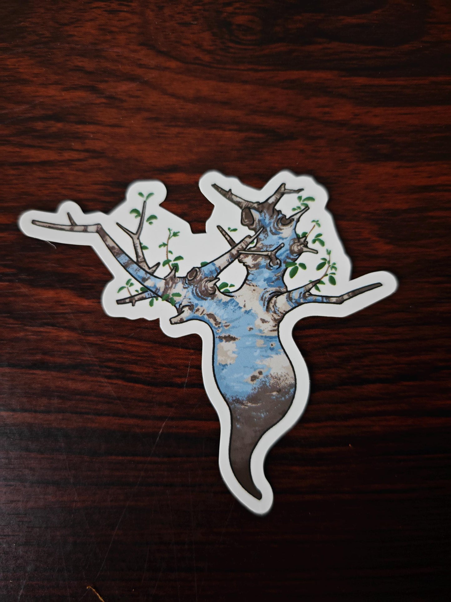Cactus Succulent Stickers set of 9, size ranges from 3-6 cm.